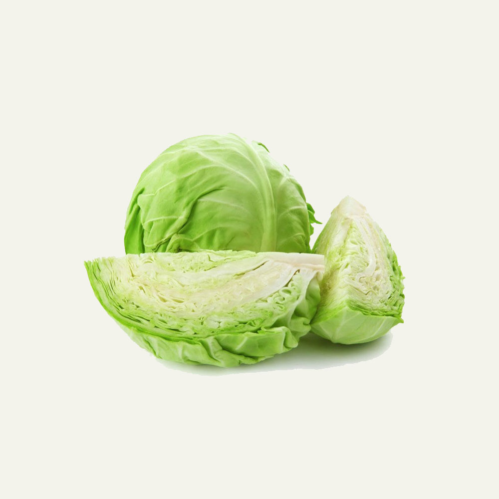 Cabbage